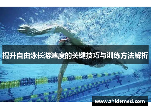 提升自由泳长游速度的关键技巧与训练方法解析