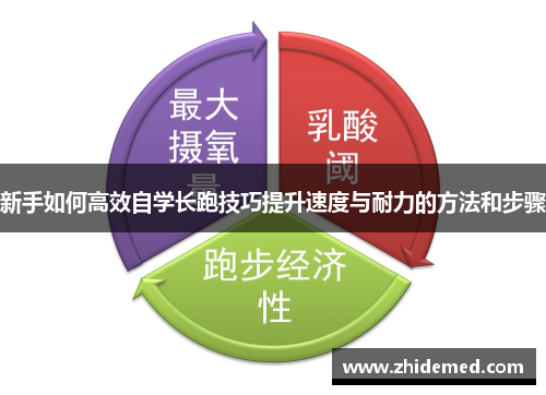 新手如何高效自学长跑技巧提升速度与耐力的方法和步骤