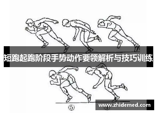 短跑起跑阶段手势动作要领解析与技巧训练