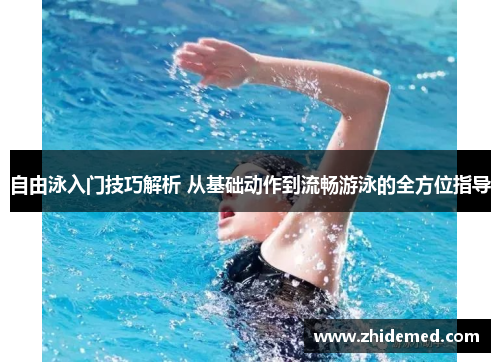 自由泳入门技巧解析 从基础动作到流畅游泳的全方位指导