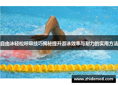 自由泳轻松呼吸技巧揭秘提升游泳效率与耐力的实用方法