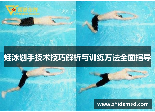 蛙泳划手技术技巧解析与训练方法全面指导